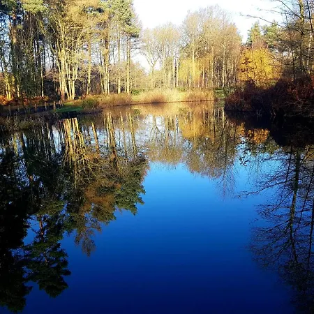 Hollicarrs - Forest Retreat Orman Evi York