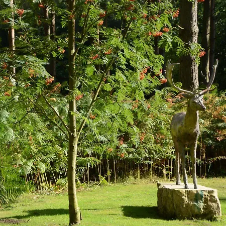 Hollicarrs - Forest Retreat Orman Evi