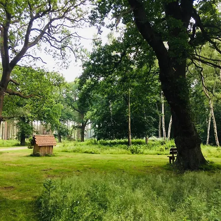 Hollicarrs - Forest Retreat Orman Evi *