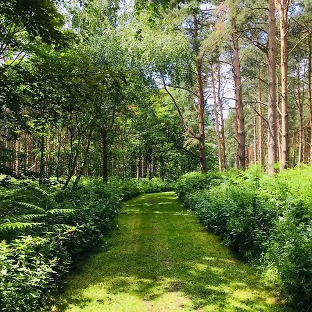 Orman Evi Hollicarrs - Forest Retreat York