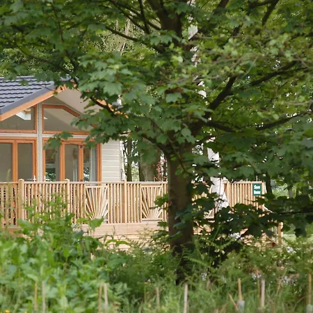 Hollicarrs - Forest Retreat York