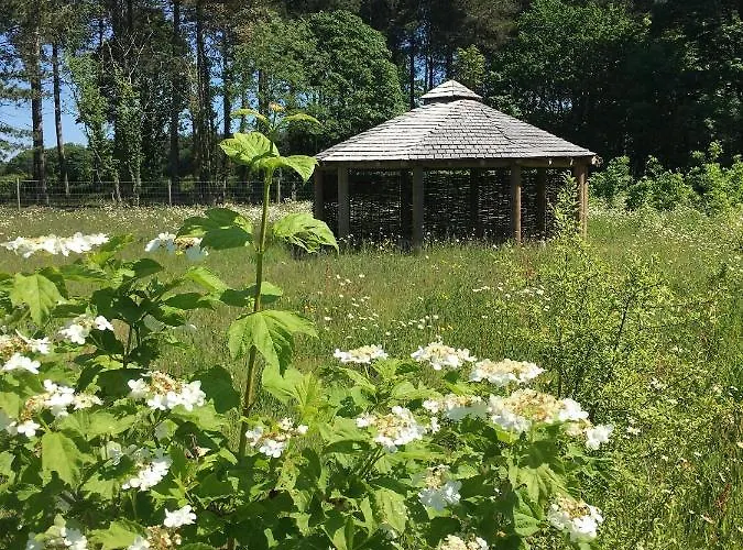 Hollicarrs - Forest Retreat Деревянный коттедж