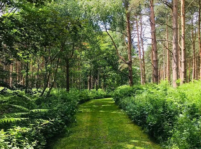 Деревянный коттедж Hollicarrs - Forest Retreat Йорк