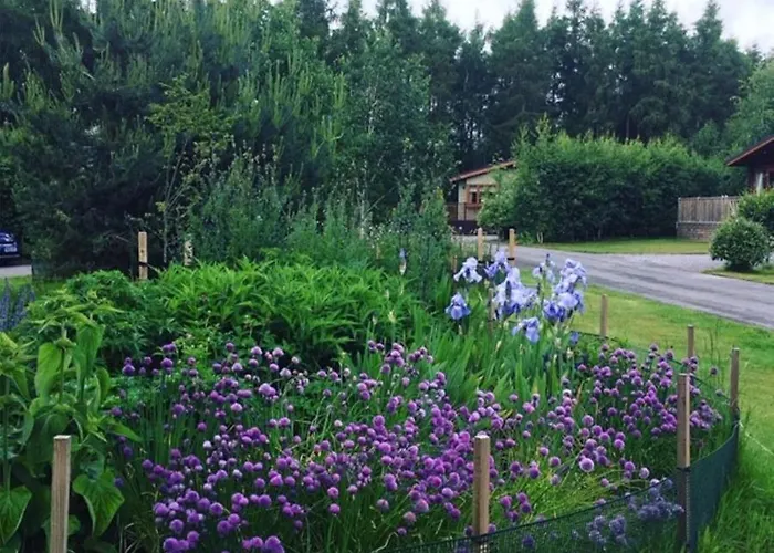 Hollicarrs - Forest Retreat Деревянный коттедж