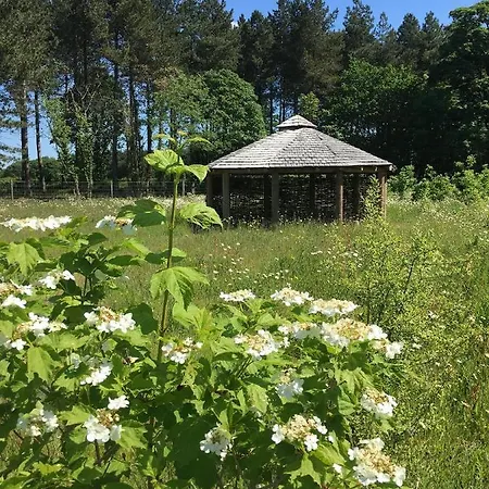 Hollicarrs - Forest Retreat Lodge