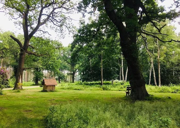 Hollicarrs - Forest Retreat بيت خشبي *