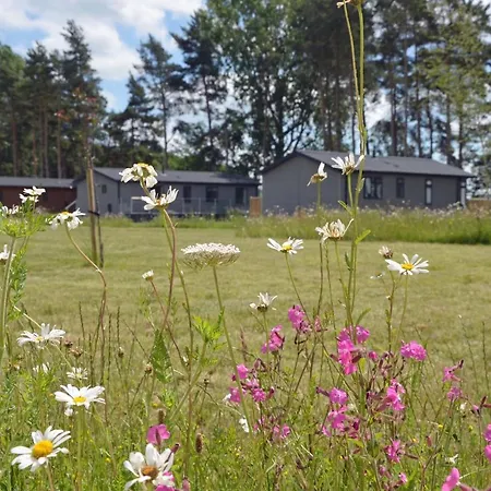 Hollicarrs - Forest Retreat * York