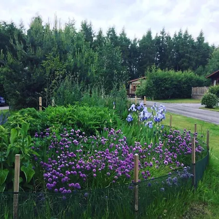 Hollicarrs - Forest Retreat Lodge