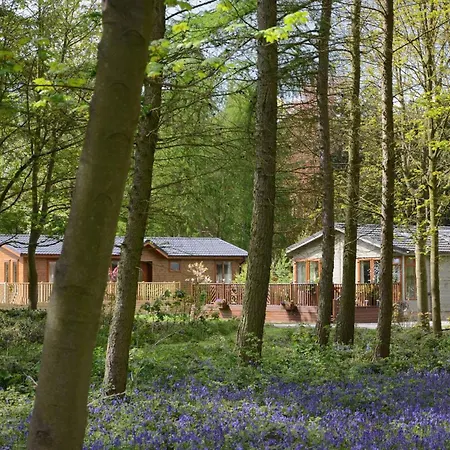 Hollicarrs - Forest Retreat *