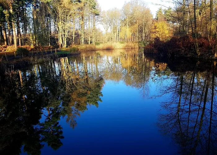 Hollicarrs - Forest Retreat Domek letniskowy York