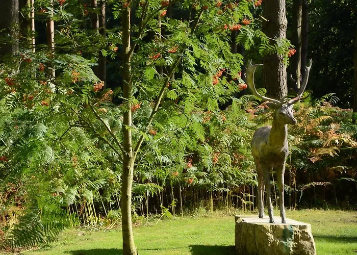 Hollicarrs - Forest Retreat Lodge