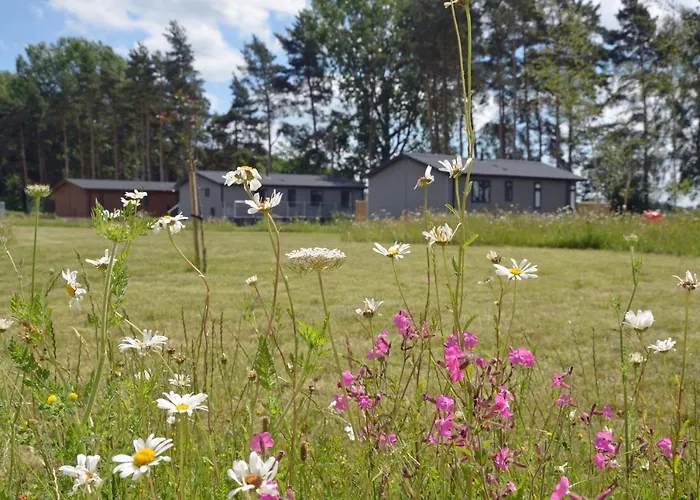 Hollicarrs - Forest Retreat * York