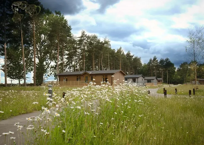 Hollicarrs - Forest Retreat * York