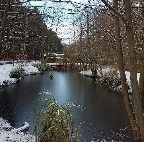 Hollicarrs - Forest Retreat * York