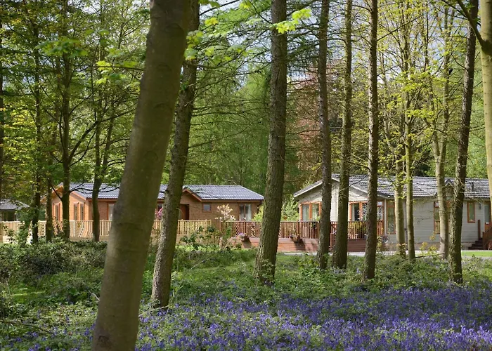 Hollicarrs - Forest Retreat *